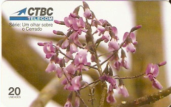 CTBC-T-0237 - As Flores - 8 - B2
